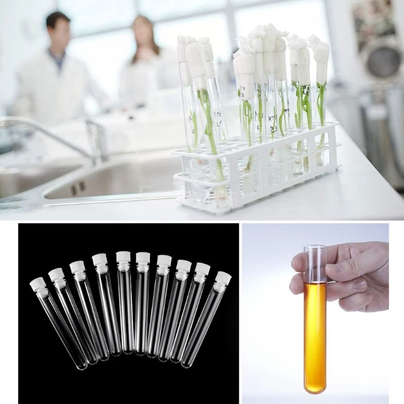 10Pcs/Pack 15x100mm Transparent Plastic Test Tubes Lab Test Tool With Screw Cap Test Tube
10Pcs/Pack 15x100mm Transparent Plastic Test Tubes Lab Test Tool With Screw Cap Test Tube