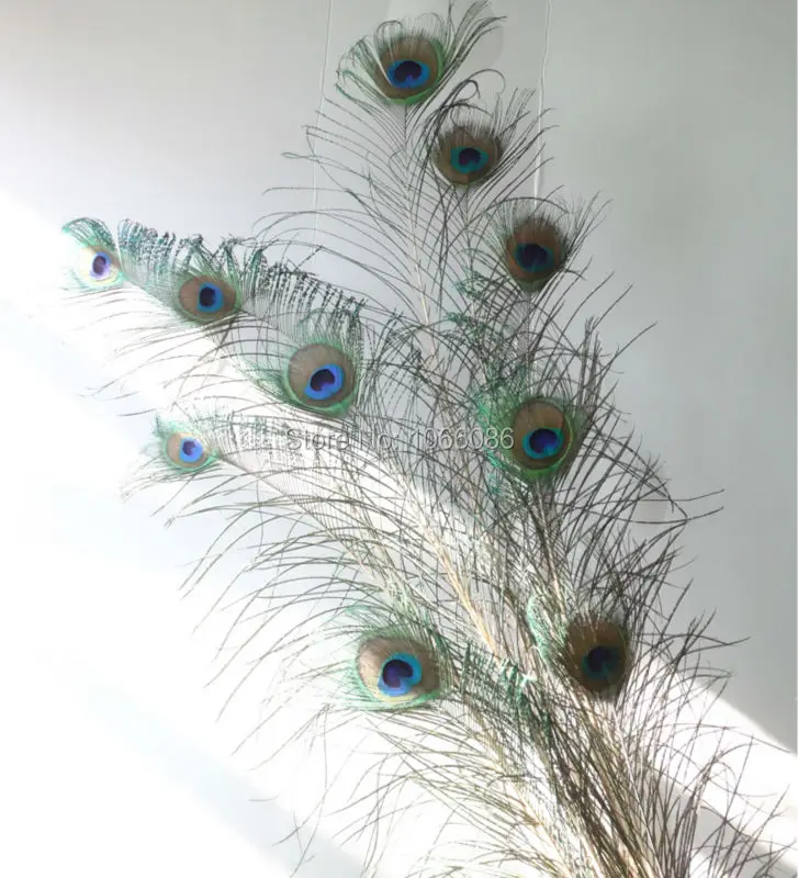 Hot Sale! 200pcs/lot length 30-40cm 12-16" Top quality peacock feather beautiful natural peacock plumes
Hot Sale! 200pcs/lot length 30-40cm 12-16" Top quality peacock feather beautiful natural peacock plumes
