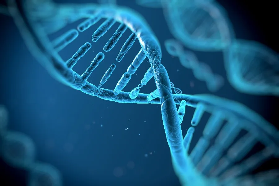 DNA 3 d структура узор молекул абстракция генная психоделическая ткань шелковое искусство настенный плакат и принты
DNA 3 d структура узор молекул абстракция генная психоделическая ткань шелковое искусство настенный плакат и принты