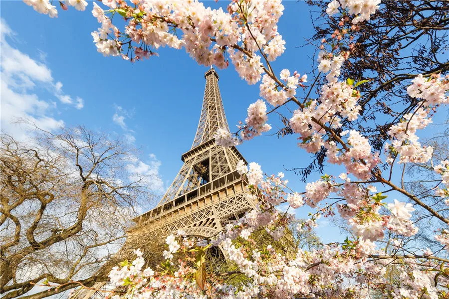 5d diamond painting "Eiffel Tower, Paris, France" full square diamond embroidery Cross stitch rhinestones Wedding decoration
5d diamond painting "Eiffel Tower, Paris, France" full square diamond embroidery Cross stitch rhinestones Wedding decoration