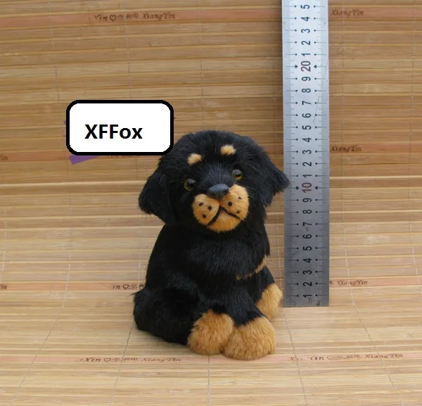 new real life black dog model plastic&furs sitting dog doll gift about 12x12x16cm xf1565
new real life black dog model plastic&furs sitting dog doll gift about 12x12x16cm xf1565