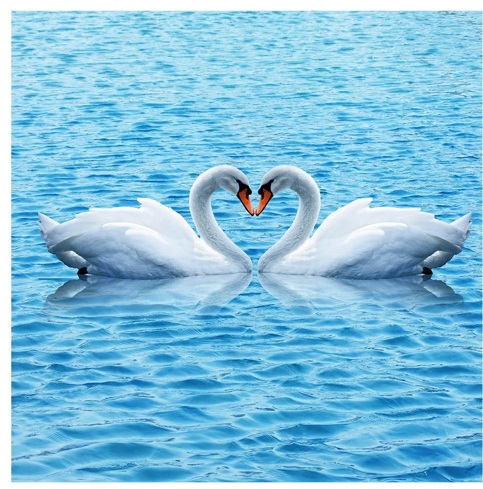 Free Shipping White crane living room bedroom 3D floor tiles painting waterproof wear non-slip bathroom lobby flooring mural
Free Shipping White crane living room bedroom 3D floor tiles painting waterproof wear non-slip bathroom lobby flooring mural