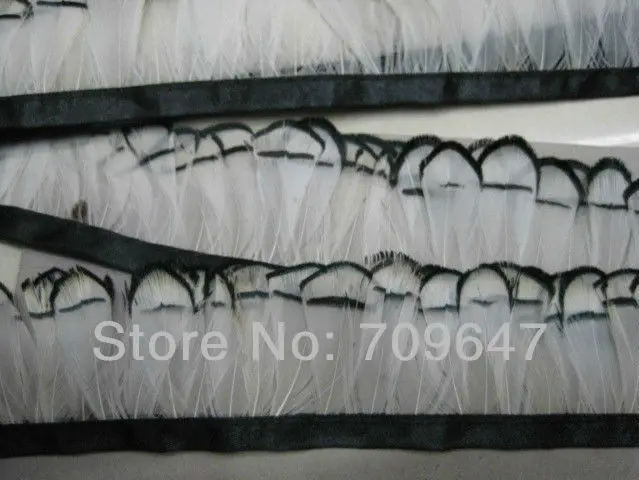 2Yards/Lot!Height5-6cm!Natural White With Black Tip Lady Amherst Pheasant Feather Fringe, Plumas Decoracion
2Yards/Lot!Height5-6cm!Natural White With Black Tip Lady Amherst Pheasant Feather Fringe, Plumas Decoracion