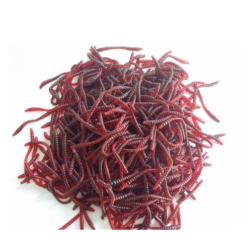 100pcs/lot 6CM Soft Lures Fishing Simulation Earthworm Red Worms Artificial Fishing Lure Tackle Lifelike Fishy Bait Dropshipping
100pcs/lot 6CM Soft Lures Fishing Simulation Earthworm Red Worms Artificial Fishing Lure Tackle Lifelike Fishy Bait Dropshipping