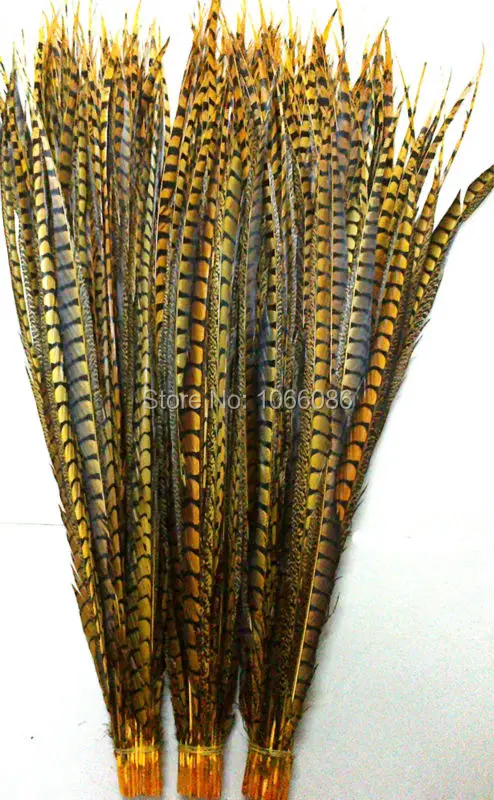 EMS Free Shipping 80-90cm 30-35 inches 50pcs Gold Yellow ringneck Lady Amherst pheasant tails pheasant feather
EMS Free Shipping 80-90cm 30-35 inches 50pcs Gold Yellow ringneck Lady Amherst pheasant tails pheasant feather