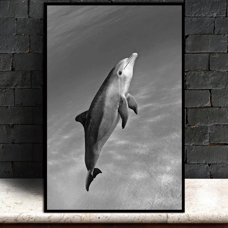 Nordic Animal dolphin Abstract Freedom Swim Wall Pictures Art Decoration Pictures Scandinavian Canvas Painting Prints No Frame
Nordic Animal dolphin Abstract Freedom Swim Wall Pictures Art Decoration Pictures Scandinavian Canvas Painting Prints No Frame