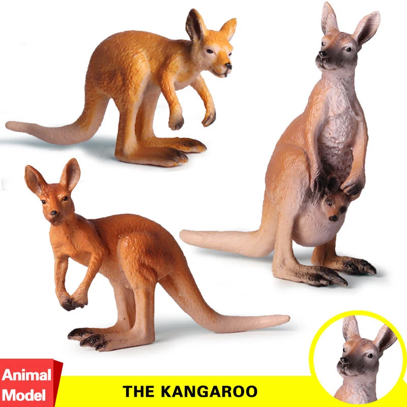 Action&Toys Figure Wildlife Animal Baby Kangaroo PVC Model Collectible Doll Figure Collection For Kid Children's Gift
Action&Toys Figure Wildlife Animal Baby Kangaroo PVC Model Collectible Doll Figure Collection For Kid Children's Gift