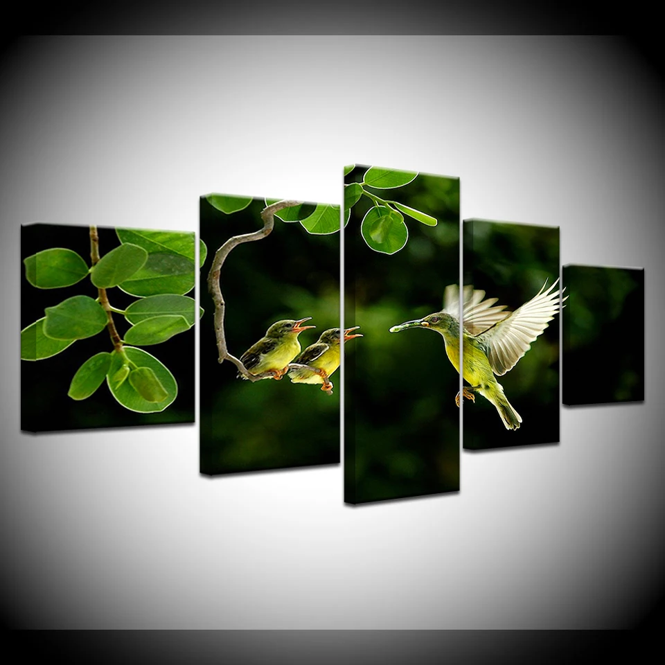 Modern Canvas Living Room HD Printed Pictures 5 Panel Bird And Flowers Painting Wall Art Modular Poster Framework Home Decor
Modern Canvas Living Room HD Printed Pictures 5 Panel Bird And Flowers Painting Wall Art Modular Poster Framework Home Decor