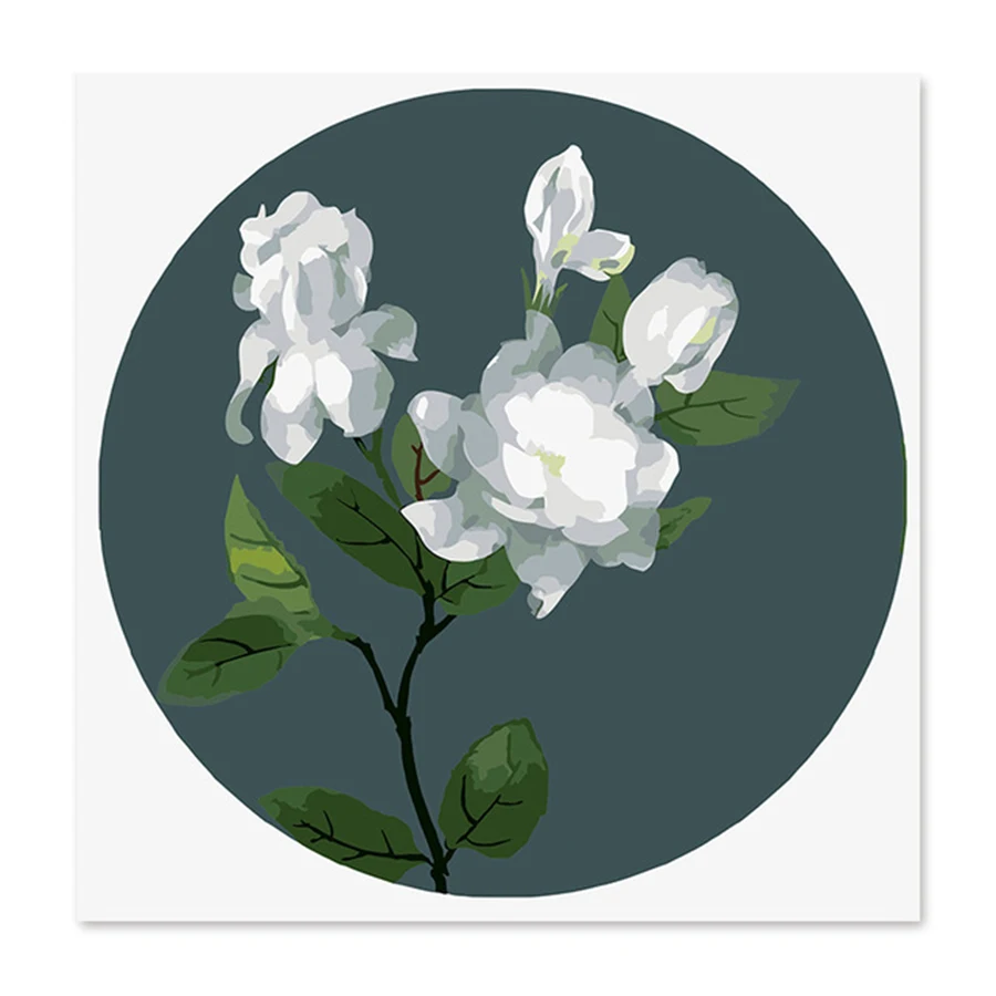 White rose flower Draw on canvas Digital Painting Famous paintings Abstract Color Gardenia Diy by numbers
White rose flower Draw on canvas Digital Painting Famous paintings Abstract Color Gardenia Diy by numbers