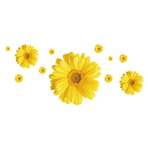 2 set/lot 40*45 Inch Removable PVC Decals Decorative Flowers Wall Sticker DIY Art Home Decoration
2 set/lot 40*45 Inch Removable PVC Decals Decorative Flowers Wall Sticker DIY Art Home Decoration