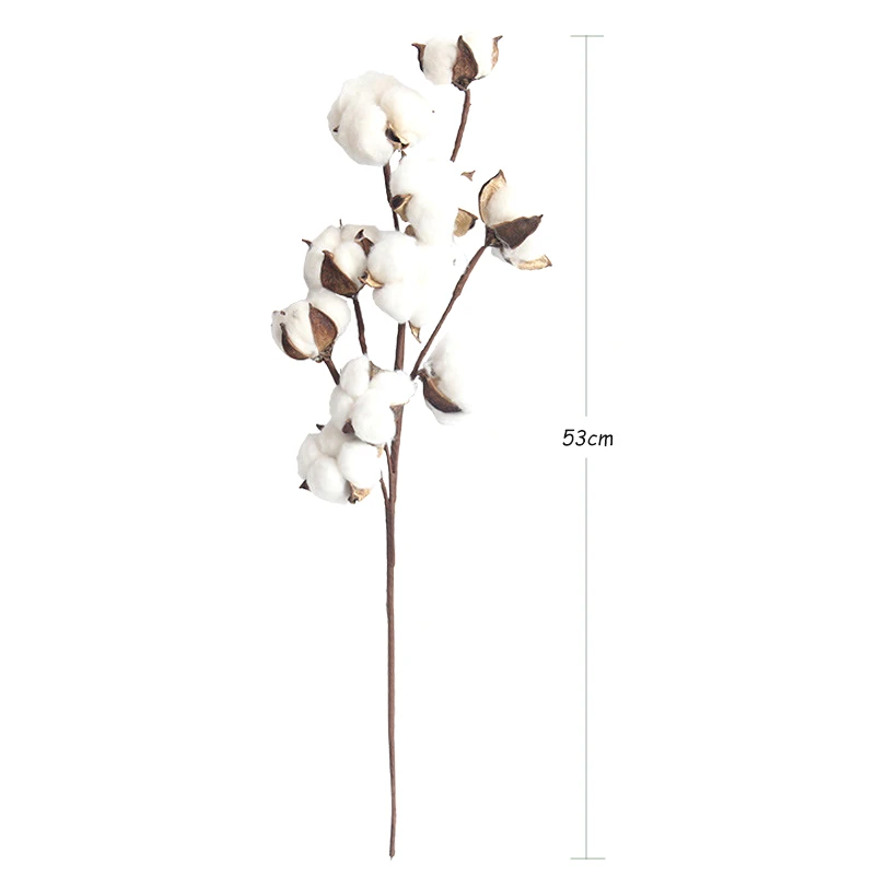 JAROWN Simulation Flower Artificial 10 Heads Natural Cotton Branches Home Decoration Wedding Bouquets DIY Fake Flowers Decor
JAROWN Simulation Flower Artificial 10 Heads Natural Cotton Branches Home Decoration Wedding Bouquets DIY Fake Flowers Decor
