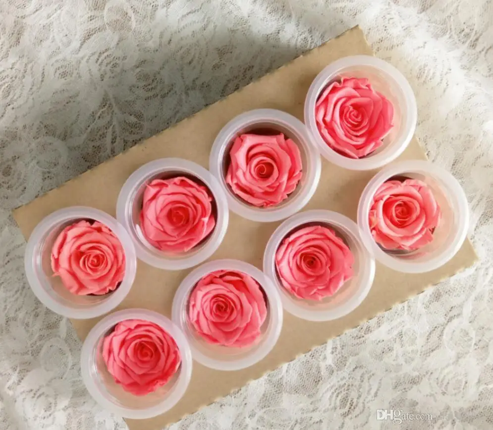 8pcs 4-5cm Preserved Flower Rose Bud Head For Wedding Party Holiday Birthday Velentine's Day Gift Favor Price
8pcs 4-5cm Preserved Flower Rose Bud Head For Wedding Party Holiday Birthday Velentine's Day Gift Favor Price
