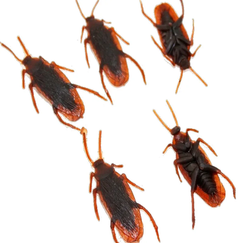 2pcs/lot Shock Toys Simulation Cockroaches Xiaoqiang Insect Magic Props Novelty products toy
2pcs/lot Shock Toys Simulation Cockroaches Xiaoqiang Insect Magic Props Novelty products toy