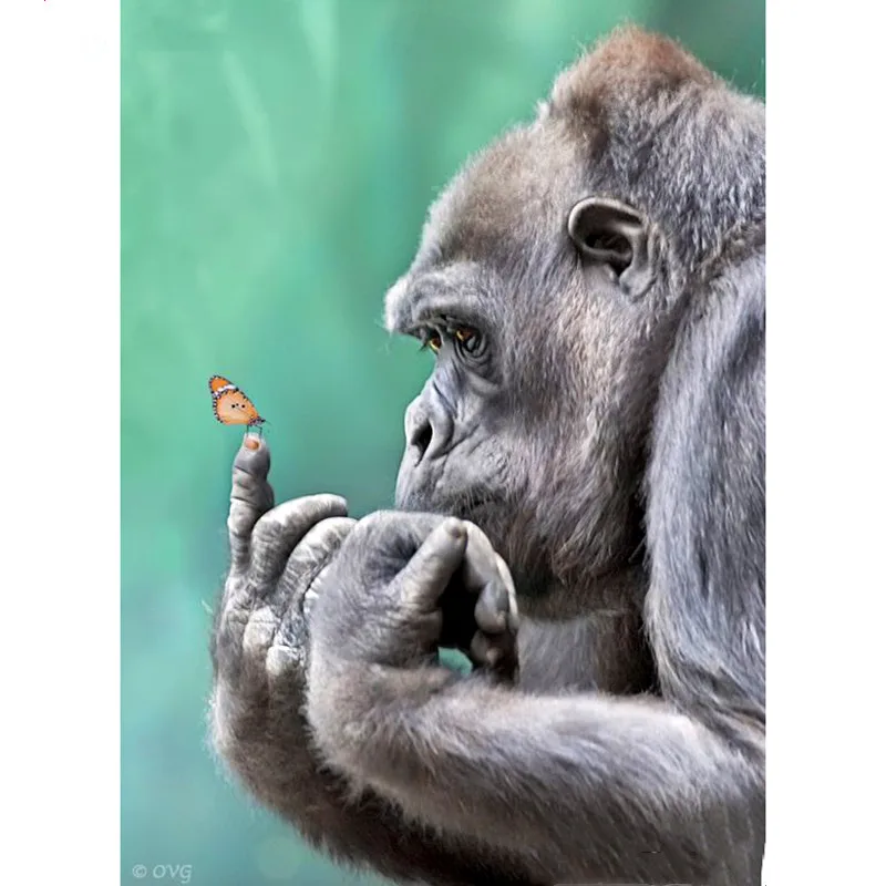 Full Square/Round Drill 5D DIY New Diamond Painting "Animal Monkey" Rhinestone Embroidery Cross Stitch 5D Home Decor
Full Square/Round Drill 5D DIY New Diamond Painting "Animal Monkey" Rhinestone Embroidery Cross Stitch 5D Home Decor
