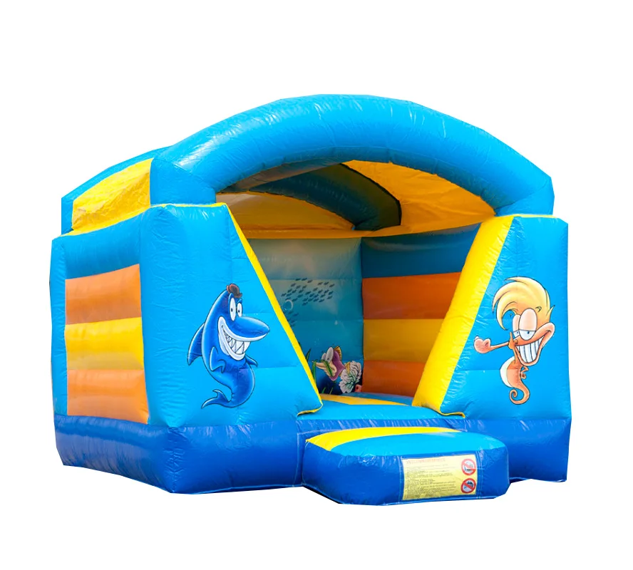 Free blower small Inflatable bouncer catle inflatable bouncer outdoor or indoor kids
Free blower small Inflatable bouncer catle inflatable bouncer outdoor or indoor kids
