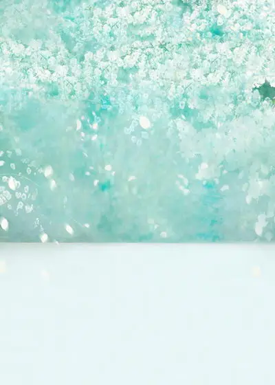 TR 5x7FT Light Glitter Bokeh Photography Backdrop Vinyl Art Fabric Newborn Pet Green Bokeh Photography Backgrounds Baby Shoots
TR 5x7FT Light Glitter Bokeh Photography Backdrop Vinyl Art Fabric Newborn Pet Green Bokeh Photography Backgrounds Baby Shoots