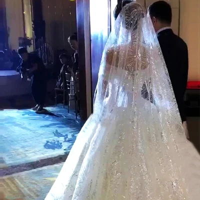 3.5 Meters Full Edge with Lace Bling Sequins One Layers Long Wedding Veil with Comb White Ivory Bridal Veil 2019
3.5 Meters Full Edge with Lace Bling Sequins One Layers Long Wedding Veil with Comb White Ivory Bridal Veil 2019