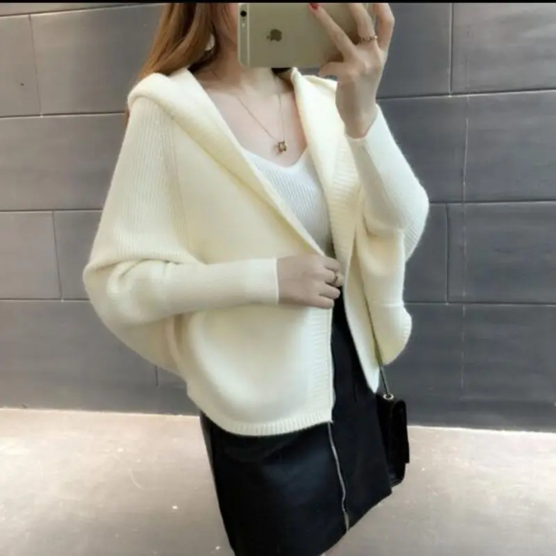 2018 new Spring Autumn Women Knitted Cardigan Sweater Ladies Batwing Sleeve Hooded Loose Cardigan Sweater Coat AC888
2018 new Spring Autumn Women Knitted Cardigan Sweater Ladies Batwing Sleeve Hooded Loose Cardigan Sweater Coat AC888