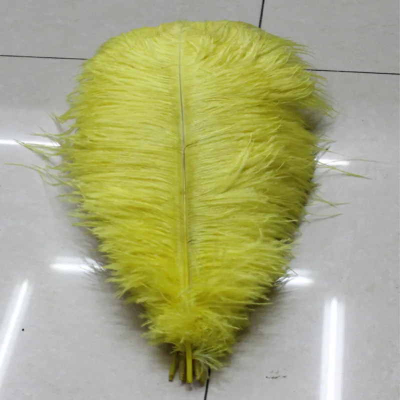 10pcs/lot yellow Ostrich Feathers 30-35cm / 12-14 inches Wedding decoration Birthday Christmas ostrich plume
10pcs/lot yellow Ostrich Feathers 30-35cm / 12-14 inches Wedding decoration Birthday Christmas ostrich plume