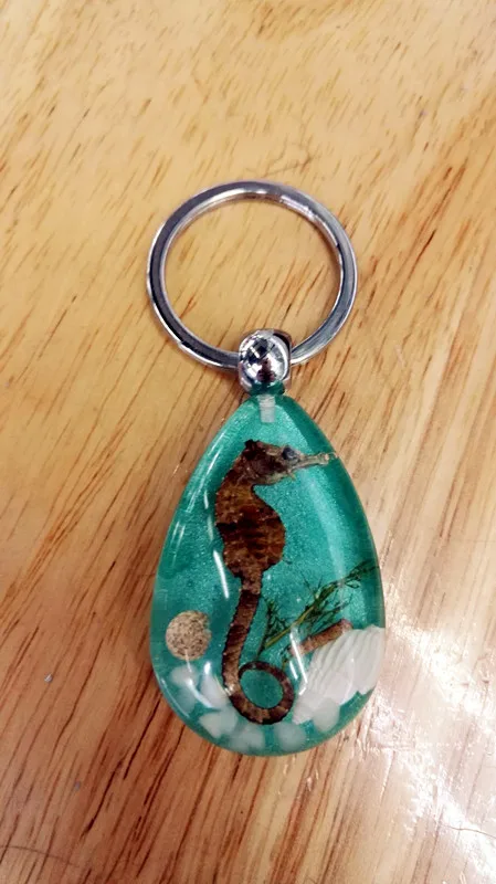 FREE SHIPPING 16 PCS charming sea horse dragon sea shell sea grass blue drop style key-chains TAXIDERMY
FREE SHIPPING 16 PCS charming sea horse dragon sea shell sea grass blue drop style key-chains TAXIDERMY