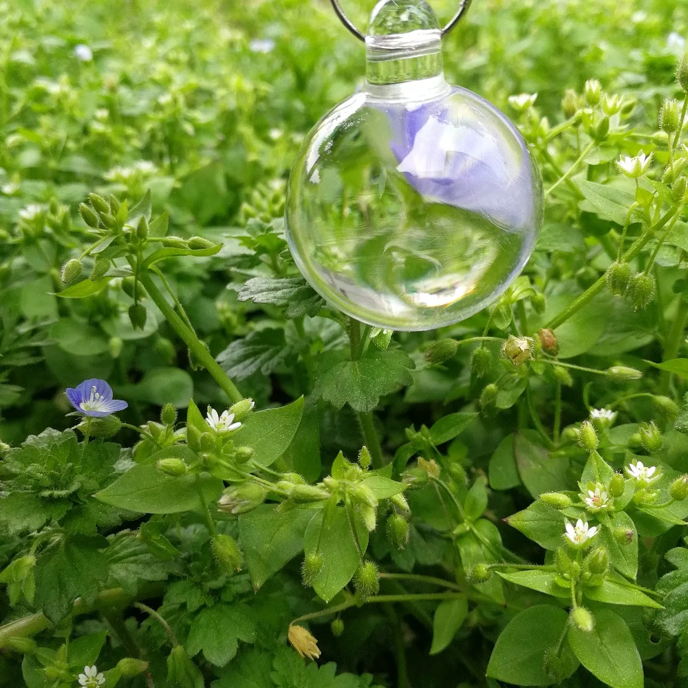 Free shipping,20PCS/lot,20mm transparent color,crystal smooth hanging ball,crystal ball for chandelier parts&wedding,X-MAS
Free shipping,20PCS/lot,20mm transparent color,crystal smooth hanging ball,crystal ball for chandelier parts&wedding,X-MAS
