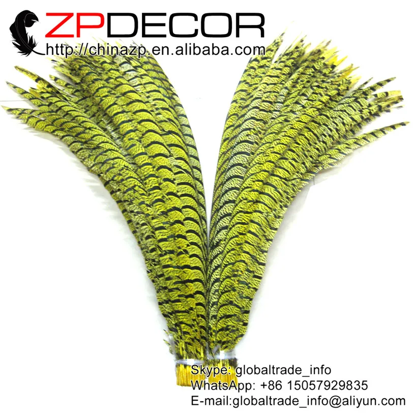 ZPDECOR 32-36 дюймов (80-90 см) 10 шт./лот Высокое Качество окрашенная желтая Зебра дамские хвосты фазана в центре перьев
ZPDECOR 32-36 дюймов (80-90 см) 10 шт./лот Высокое Качество окрашенная желтая Зебра дамские хвосты фазана в центре перьев