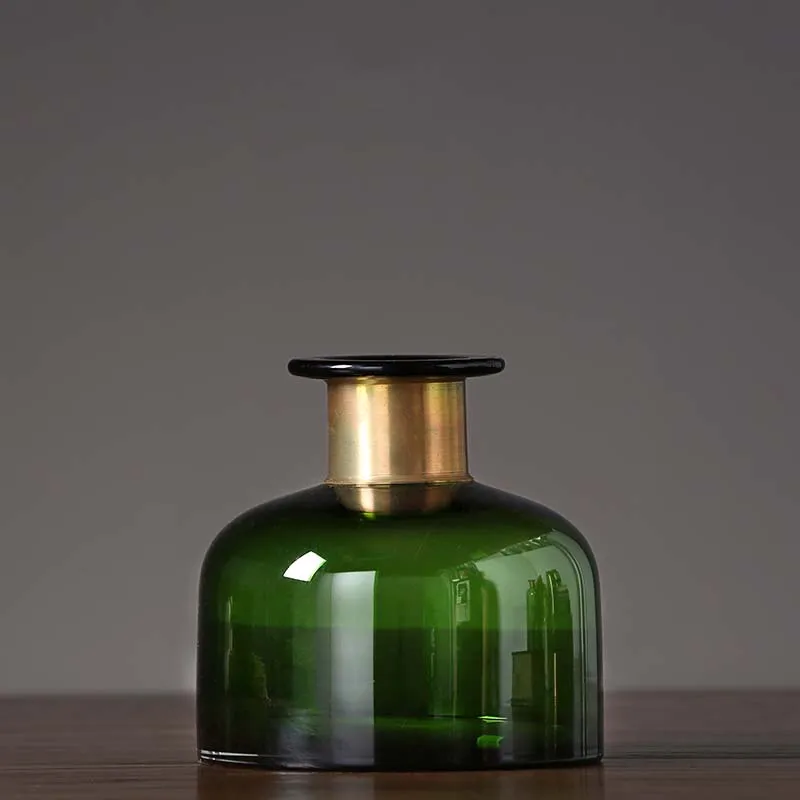Modern minimalist glass vase ornaments Creative transparent flower arranging device Living room dining table flower decoration
Modern minimalist glass vase ornaments Creative transparent flower arranging device Living room dining table flower decoration