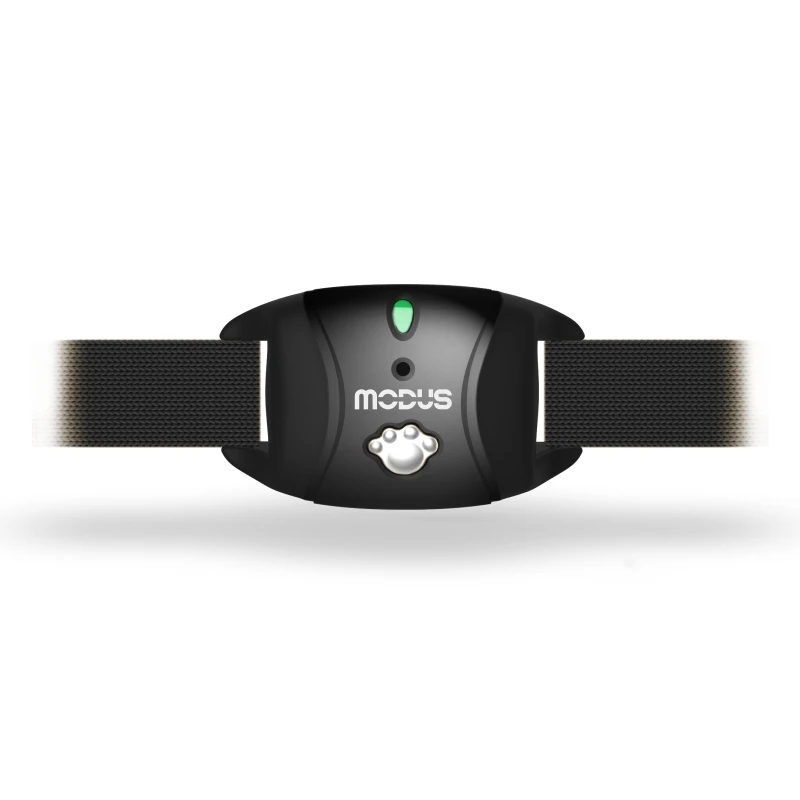 Professional Dog Bark Control Collar Staticity electrici Automatic Vibration Shock Training StopBarking stylish Tree Belt Collar
Professional Dog Bark Control Collar Staticity electrici Automatic Vibration Shock Training StopBarking stylish Tree Belt Collar