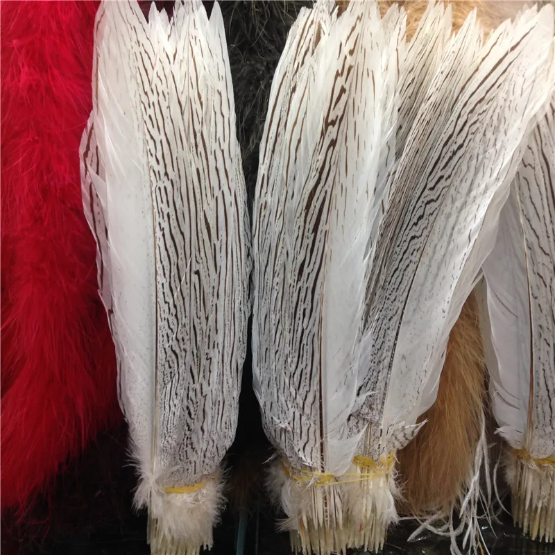 40-45cm/16-18inch Silver pheasant feather pheasant tail feathers plumage carnival dress performance plume wholesale 50 pcs/lot
40-45cm/16-18inch Silver pheasant feather pheasant tail feathers plumage carnival dress performance plume wholesale 50 pcs/lot