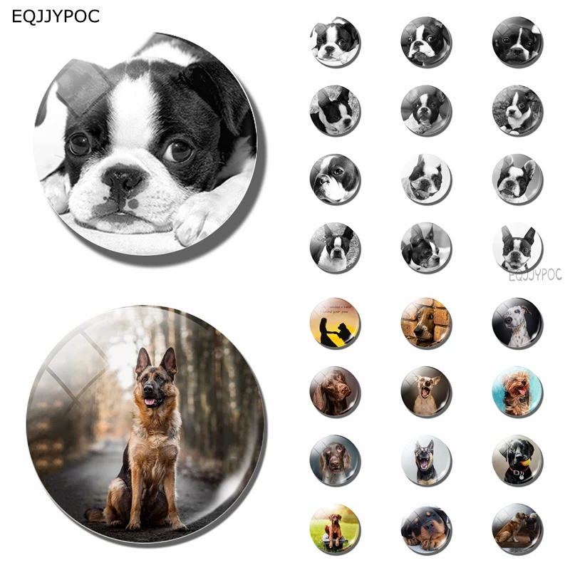 Dog Sticker Handmade 12pcs 25 MM Mini Fridge Magnet Glass Magnetic Note Holder Refrigerator Decoration Home Decor Cute Kids Gift
Dog Sticker Handmade 12pcs 25 MM Mini Fridge Magnet Glass Magnetic Note Holder Refrigerator Decoration Home Decor Cute Kids Gift