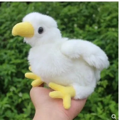 about 17cm simulation white chick plush toy cute chick soft doll for baby children birthday gift
about 17cm simulation white chick plush toy cute chick soft doll for baby children birthday gift