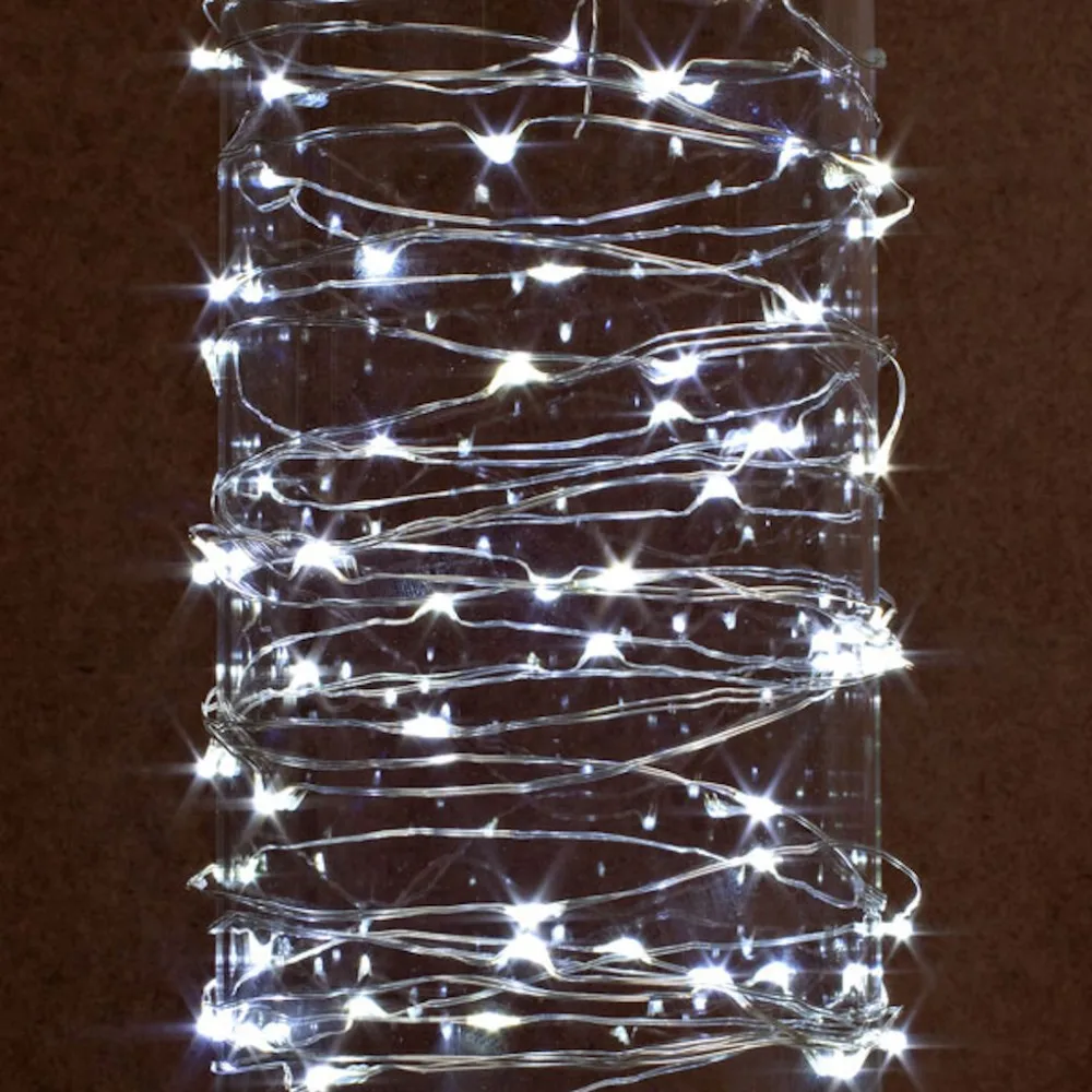 10M 33FT 100 led AA battery operated Outdoor Led String Lights and Christmas Festival Wedding Party Decoration Fairy Lights
10M 33FT 100 led AA battery operated Outdoor Led String Lights and Christmas Festival Wedding Party Decoration Fairy Lights