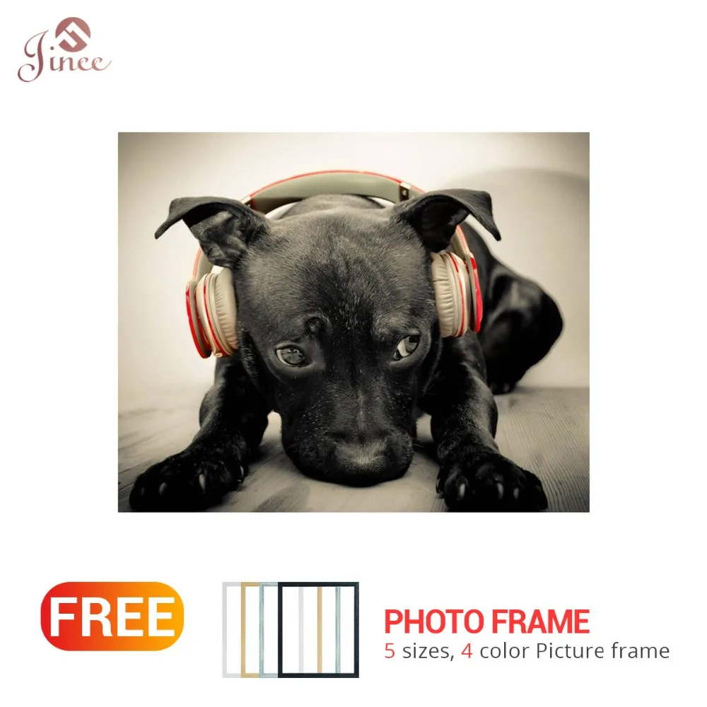 Full Square/Round Drill 5D DIY Diamond Painting "Black Dog" Embroidery Cross Stitch 3D Home Decor with Frame
Full Square/Round Drill 5D DIY Diamond Painting "Black Dog" Embroidery Cross Stitch 3D Home Decor with Frame