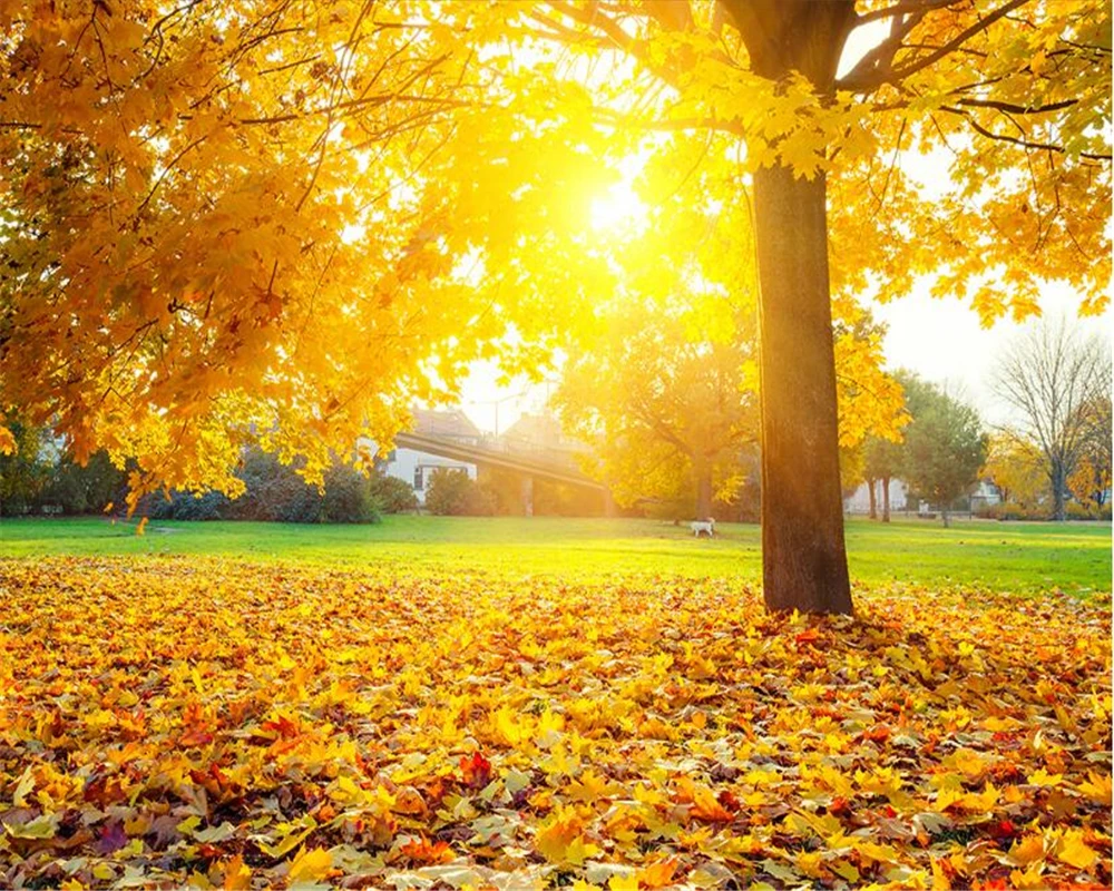 beibehang Fashion Dream serenity wall paper autumn leaves tree golden landscape background papel de parede 3d wallpaper behang
beibehang Fashion Dream serenity wall paper autumn leaves tree golden landscape background papel de parede 3d wallpaper behang