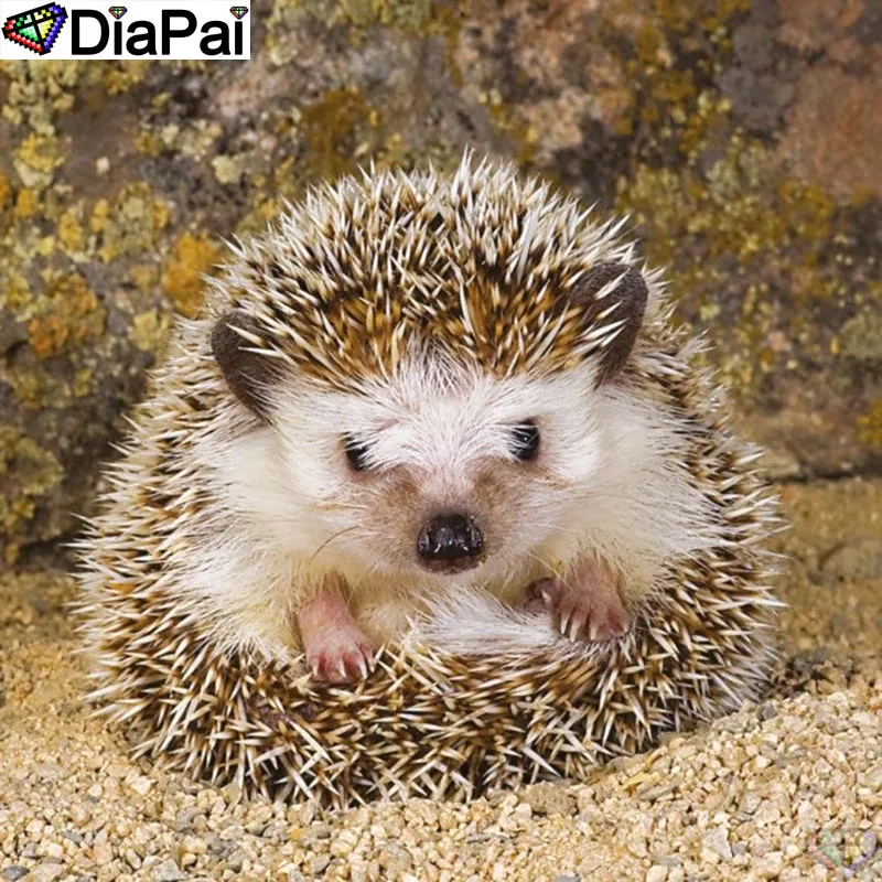 DiaPai 5D DIY Diamond Painting 100% Full Square/Round Drill "Animal hedgehog" Diamond Embroidery Cross Stitch 3D Decor A21723
DiaPai 5D DIY Diamond Painting 100% Full Square/Round Drill "Animal hedgehog" Diamond Embroidery Cross Stitch 3D Decor A21723
