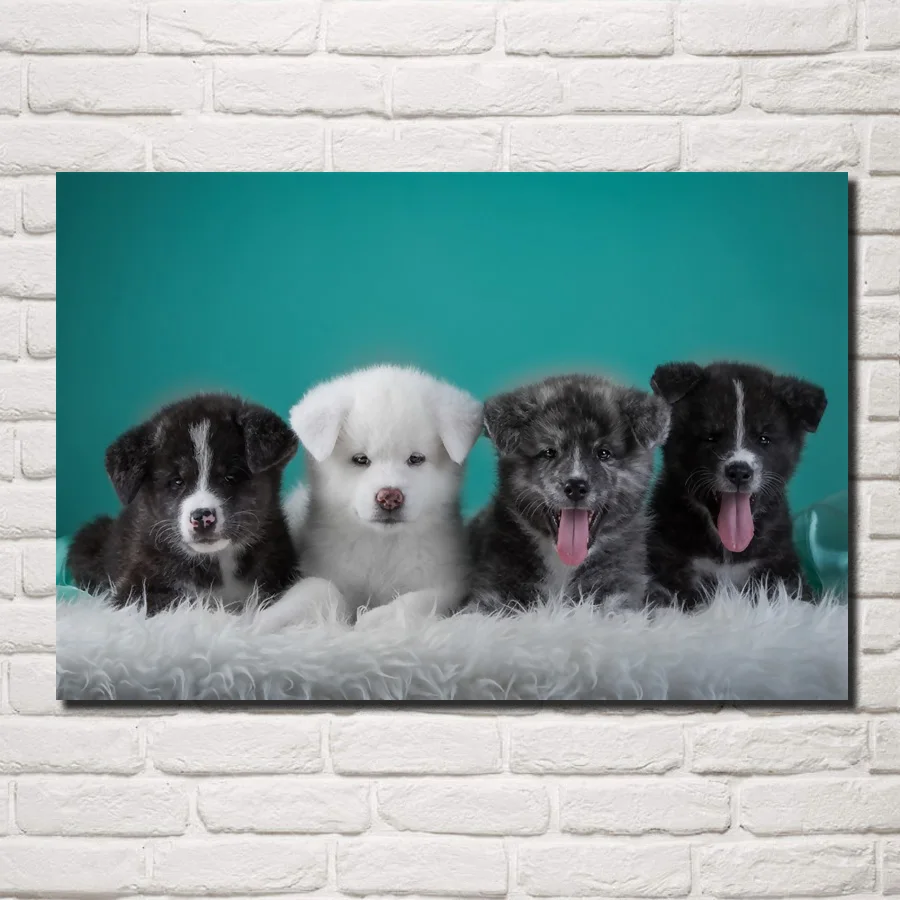 Japanese Akita puppies Quartet cute lovely little animals posters on the wall picture home living room decoration bedroom DW104
Japanese Akita puppies Quartet cute lovely little animals posters on the wall picture home living room decoration bedroom DW104