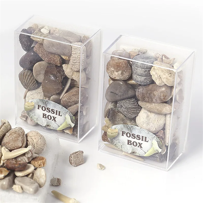 1 Box Mixed Fossil Ore Specimens Science Mineral Rock Museum Teaching Gravel Specimen Materials Natural Stone
1 Box Mixed Fossil Ore Specimens Science Mineral Rock Museum Teaching Gravel Specimen Materials Natural Stone