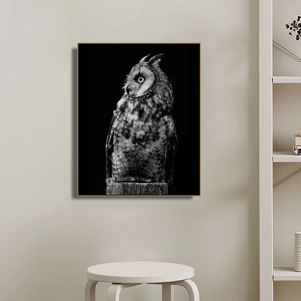 Owl Animals Photography Wall Art Poster and Print Canvas Painting Calligraphy Decorative Picture for Living Room Home Decor
Owl Animals Photography Wall Art Poster and Print Canvas Painting Calligraphy Decorative Picture for Living Room Home Decor