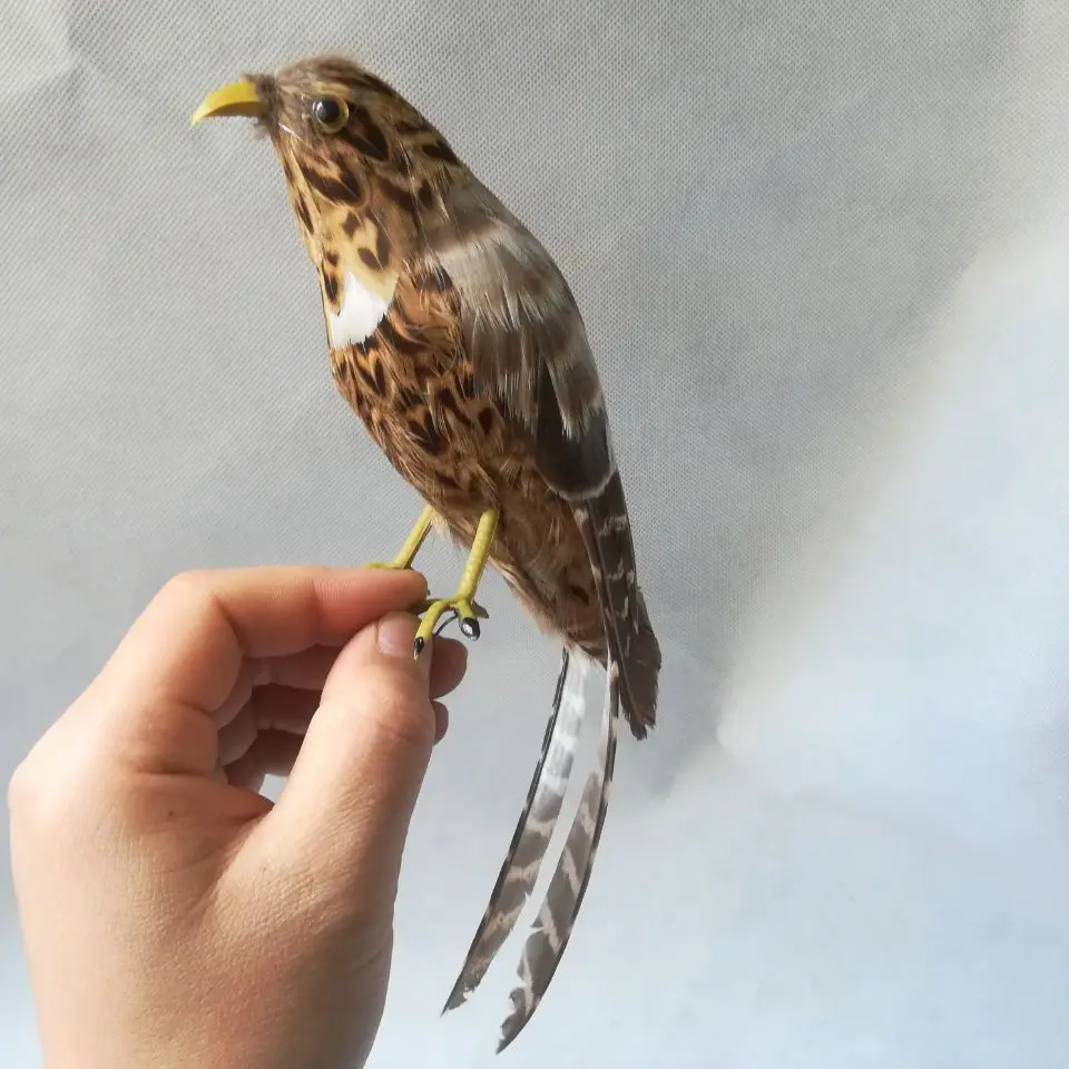 real life toy bird foam&feather bird about 24cm home garden decoration toy gift w2333
real life toy bird foam&feather bird about 24cm home garden decoration toy gift w2333