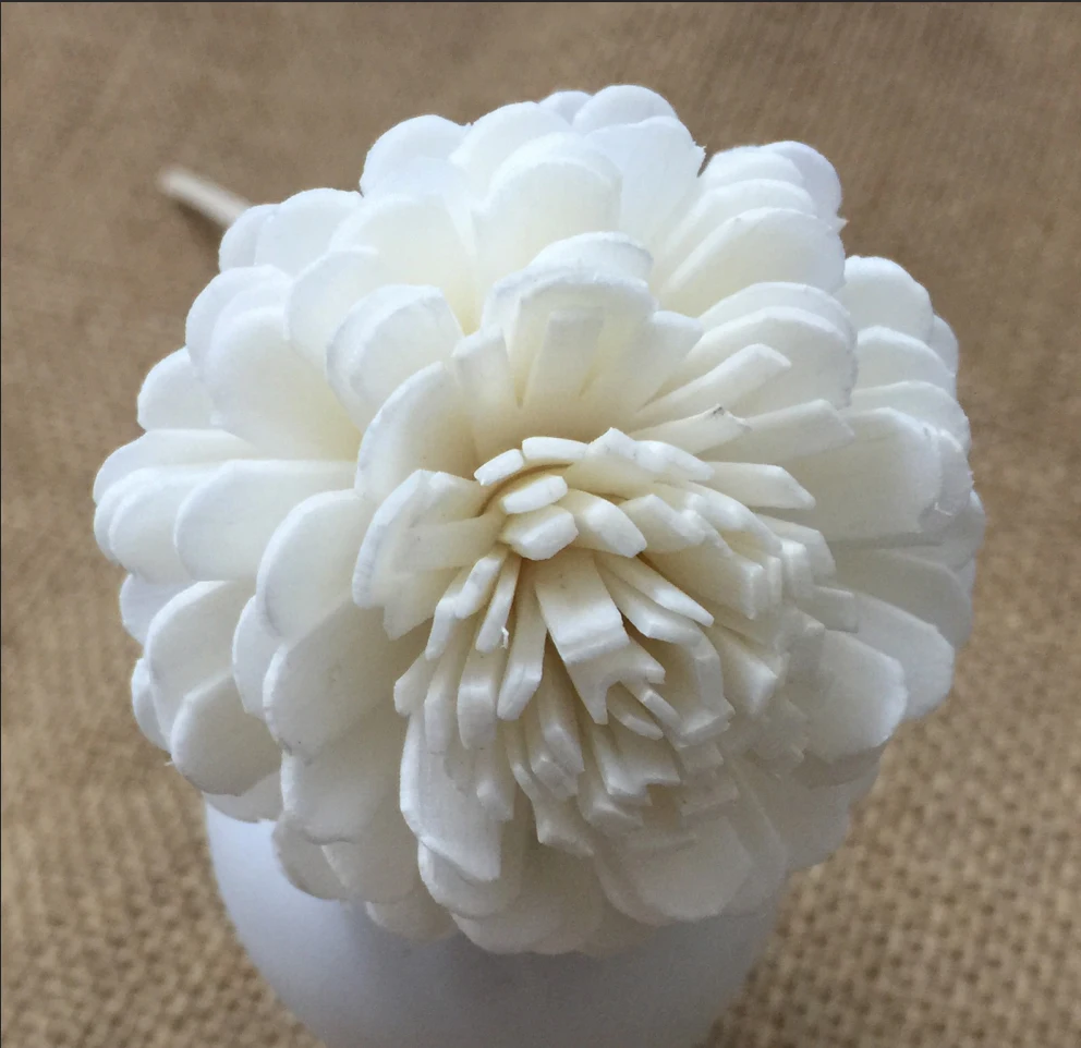 300 pcs /lot Handmade sola wood flowers for fragrance diffuser with rattan reed sticks
300 pcs /lot Handmade sola wood flowers for fragrance diffuser with rattan reed sticks