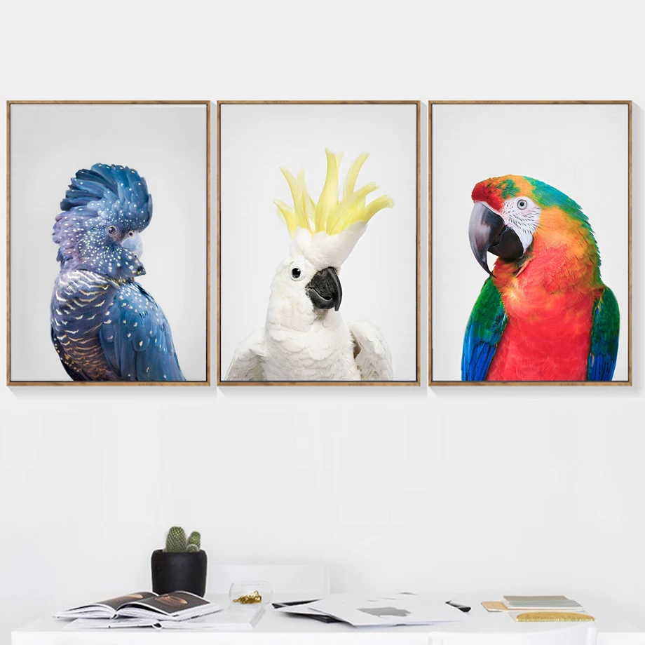Australian Parrot Cockatoo Wall Art Canvas Painting Nordic Posters And Prints Animal Nursery Wall Pictures For Living Room Decor
Australian Parrot Cockatoo Wall Art Canvas Painting Nordic Posters And Prints Animal Nursery Wall Pictures For Living Room Decor