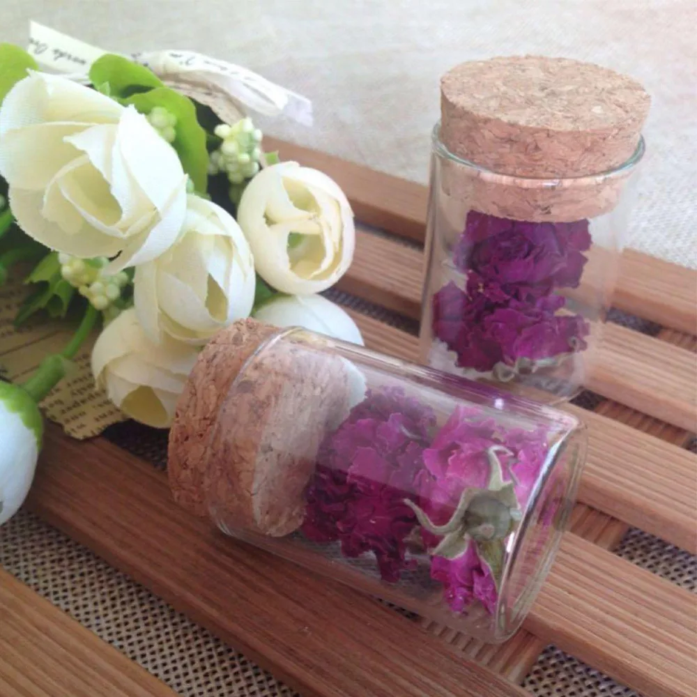 Mini Glass Containers with Corks 15ml 20ml 25ml Bottles Jars for Sand Liquid Perfume Jewelry Packaging 24pcs
Mini Glass Containers with Corks 15ml 20ml 25ml Bottles Jars for Sand Liquid Perfume Jewelry Packaging 24pcs