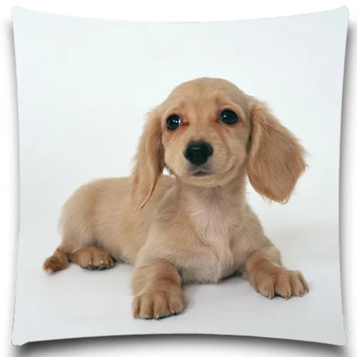 Hot Sale Pillow case bedroom/chair seat 5 size 9 style Christmas Gift Lovely Pet Dog Cotton Polyester Cushion Cover
Hot Sale Pillow case bedroom/chair seat 5 size 9 style Christmas Gift Lovely Pet Dog Cotton Polyester Cushion Cover