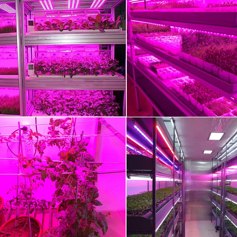 Foxanon 5m LED Plant Grow strip grow light Waterproof 5050 DC 12V Hydstems growing 60leds/m Full spectrum Aquarium Greenhouse
Foxanon 5m LED Plant Grow strip grow light Waterproof 5050 DC 12V Hydstems growing 60leds/m Full spectrum Aquarium Greenhouse