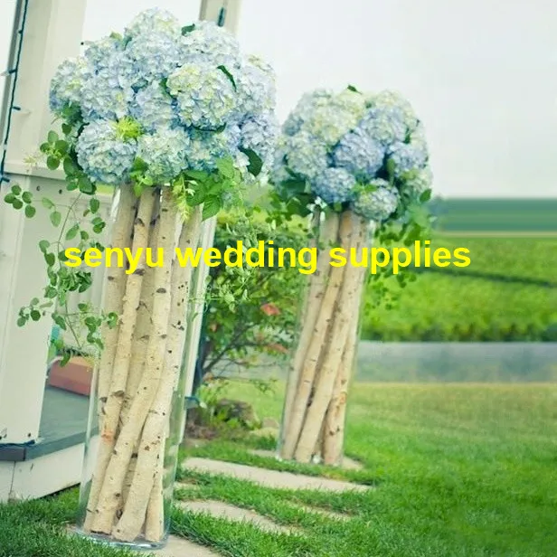 wedding stairs aisle cylinder flower vase/tall clear cylinder for floor decoration/cheap clear acrylic cylinder vases senyu78
wedding stairs aisle cylinder flower vase/tall clear cylinder for floor decoration/cheap clear acrylic cylinder vases senyu78
