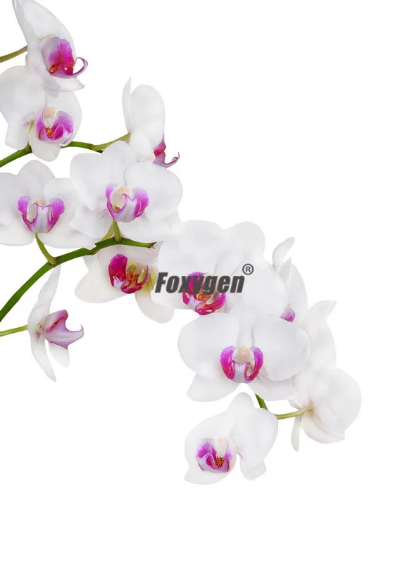 Interior decor materials Digital Printed and UV printing false and suspended ceiling pop ceiling PVC stretch ceiling film
Interior decor materials Digital Printed and UV printing false and suspended ceiling pop ceiling PVC stretch ceiling film