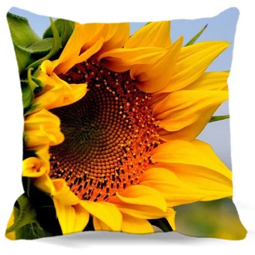 Sunflower Cushion Cover Cotton Polyester Square Pillow case- Cloth, Double-sided Printing, Size optional
Sunflower Cushion Cover Cotton Polyester Square Pillow case- Cloth, Double-sided Printing, Size optional