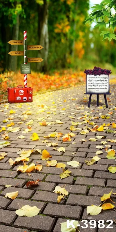 Vinyl Photo Background For Children / Wedding Autumn Scenic Photographic Studios Photo Floor Backdrops Computer Printed
Vinyl Photo Background For Children / Wedding Autumn Scenic Photographic Studios Photo Floor Backdrops Computer Printed