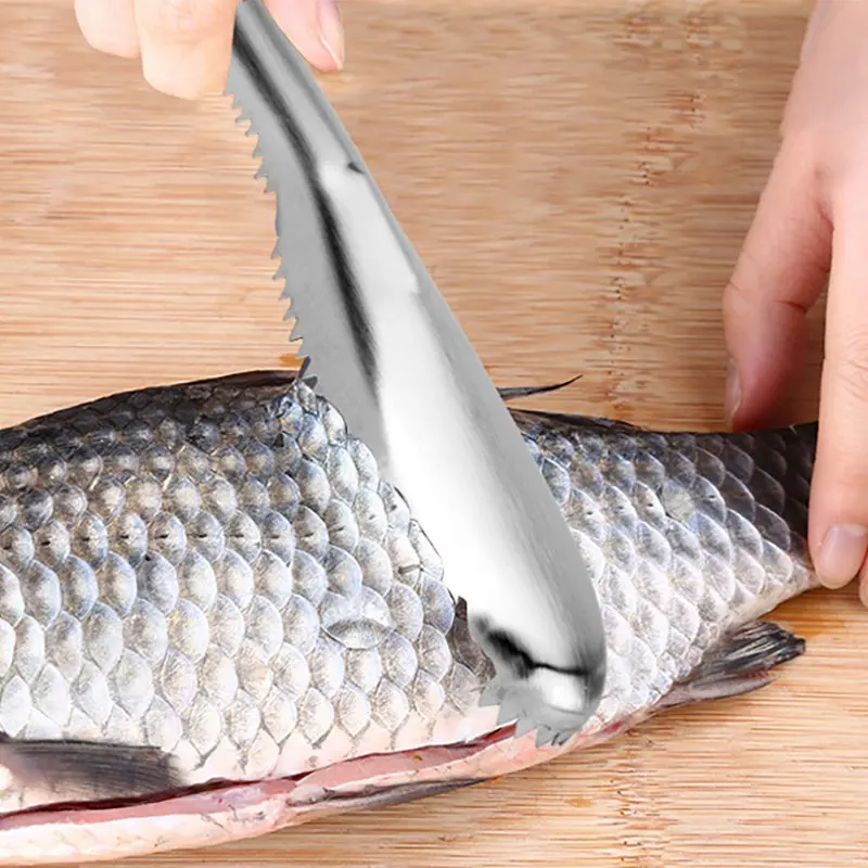 Outdoor Fishing Tools Stainless Steel Scraper Scales Fish Scale Planers Go Fish Scales Brush Fish Scales
Outdoor Fishing Tools Stainless Steel Scraper Scales Fish Scale Planers Go Fish Scales Brush Fish Scales