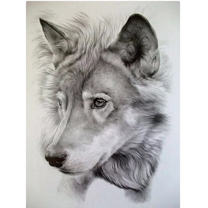 3D Diy Diamond Painting Head Of The Gray Dog Diamond Embroidery 3D Square Drill Diamond Mosaic Pasted Full Collage Needlework
3D Diy Diamond Painting Head Of The Gray Dog Diamond Embroidery 3D Square Drill Diamond Mosaic Pasted Full Collage Needlework